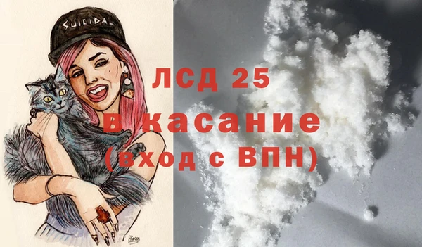 дмт Каменка