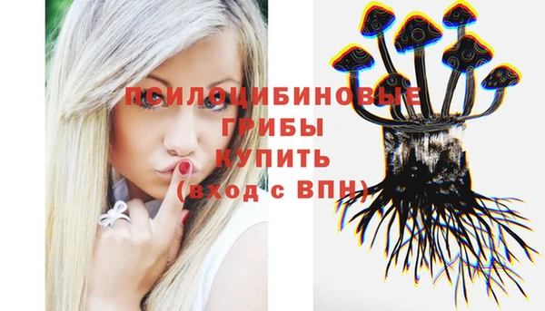 дмт Каменка