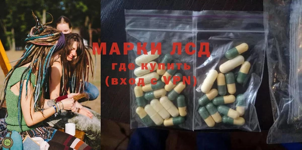 дмт Каменка
