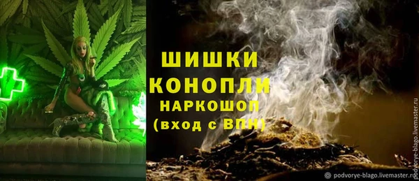 дмт Каменка