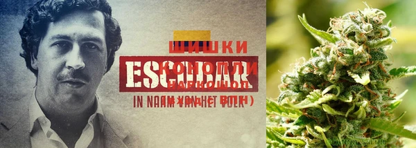 соль ск Каменск-Шахтинский
